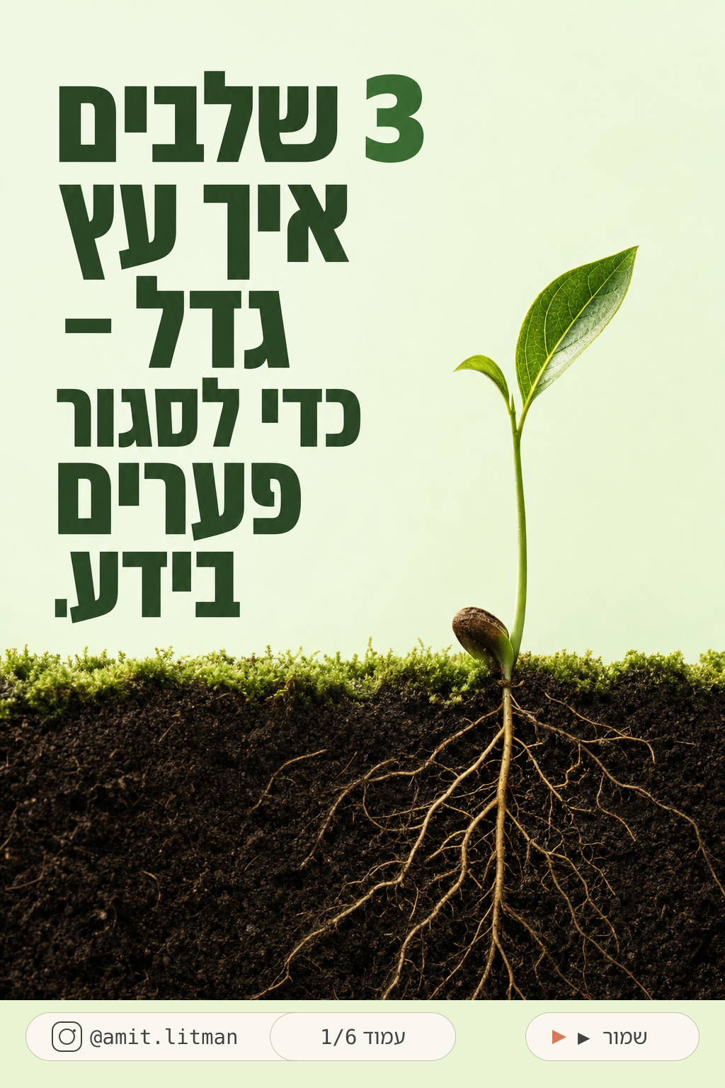 קרוסלה שנוצרה בפלטפורמה